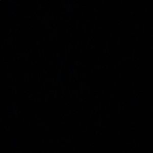 Meet your Posher, Kendra